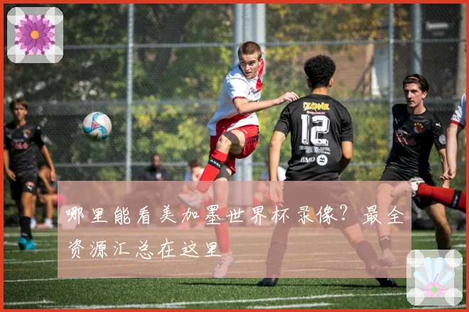 哪里能看美加墨世界杯录像？最全资源汇总在这里