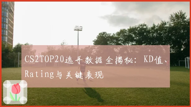 CS2TOP20选手数据全揭秘：KD值、Rating与关键表现