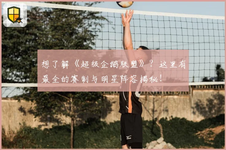 想了解《超级企鹅联盟》？这里有最全的赛制与明星阵容揭秘！